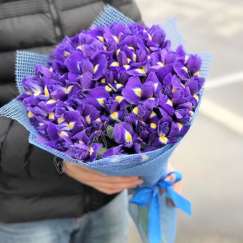 Сильва