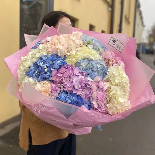 Алансон