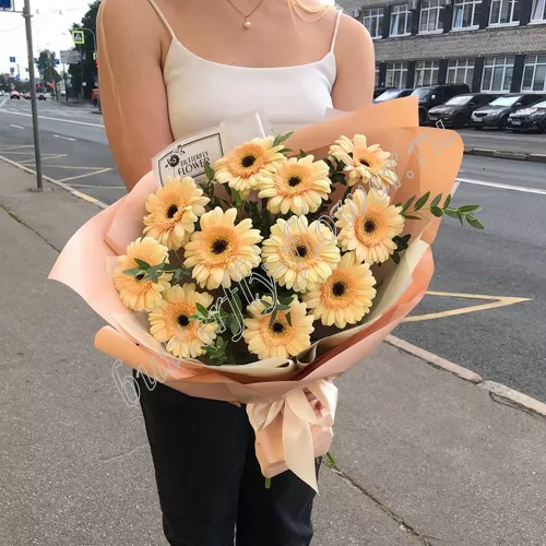Персиковые бабочки