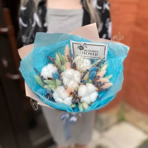 Стефания