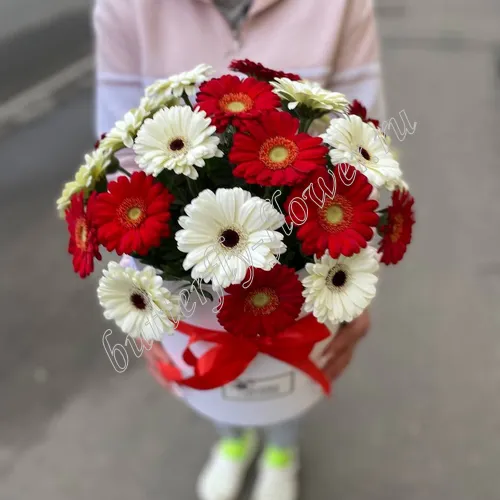 Явана