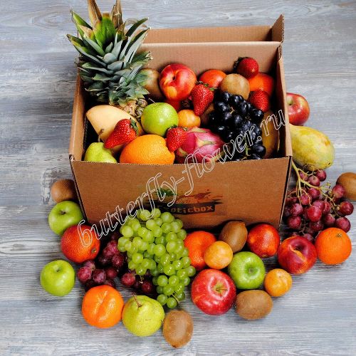 Eco-box №2